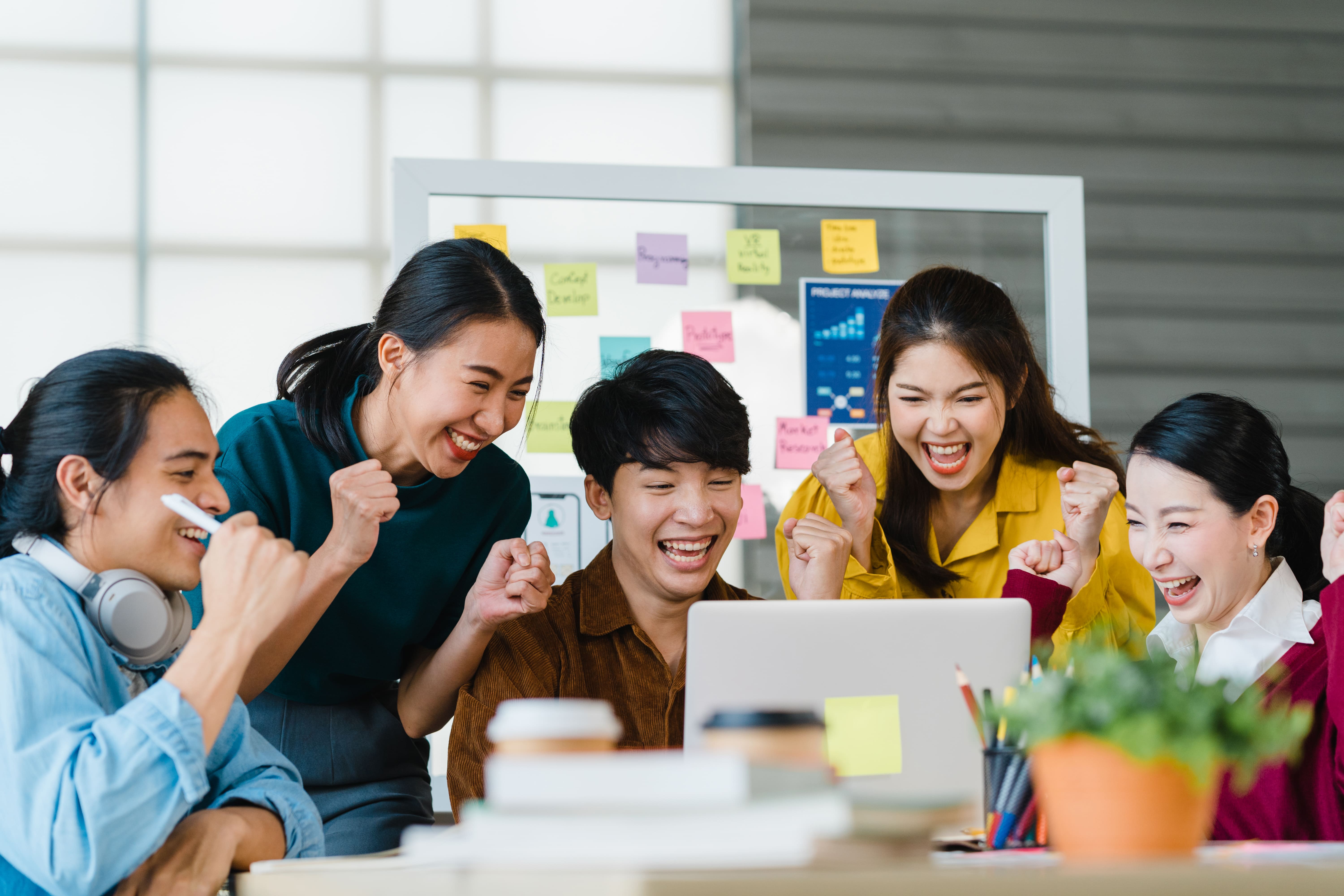 Sacofa Internship